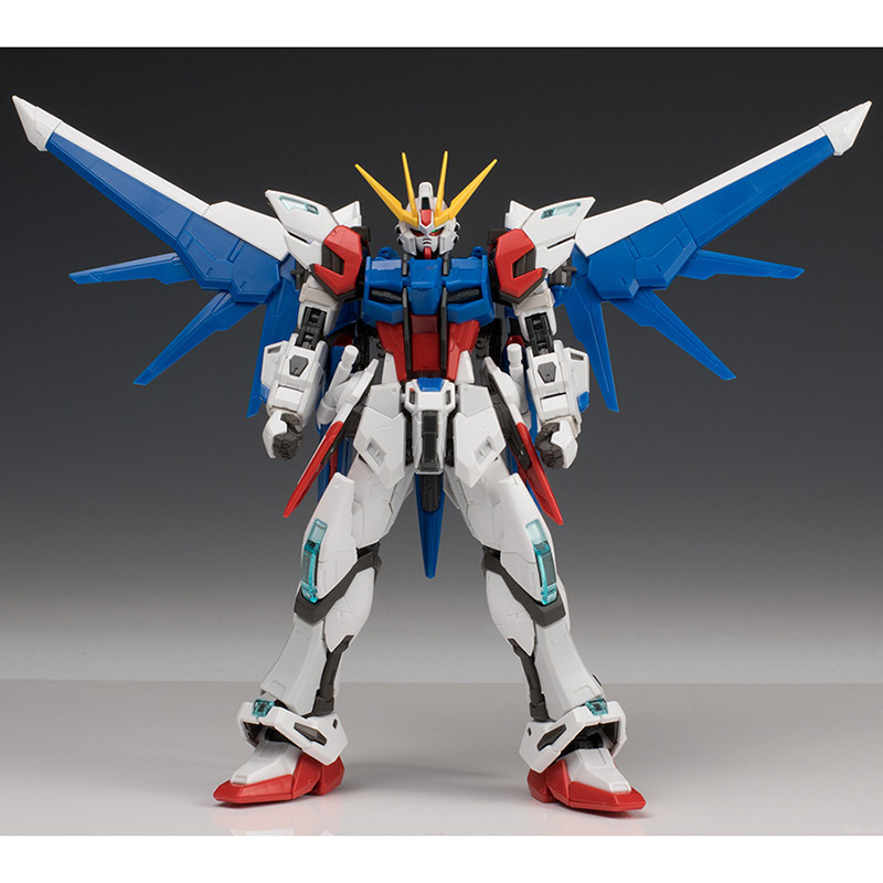 RG1/144 Build Strike Gundam Fu - đánh giá và giá Bandai Model Gundam Rg